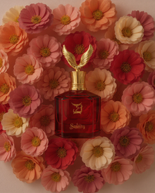 كيلاني فيلفيت روز رقة كيلاني